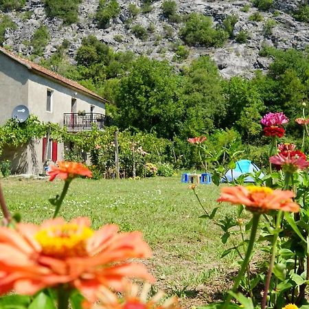 Camp Podkraj Hotel Вирпазар Екстериор снимка