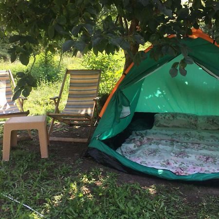 Camp Podkraj Hotel Вирпазар Екстериор снимка