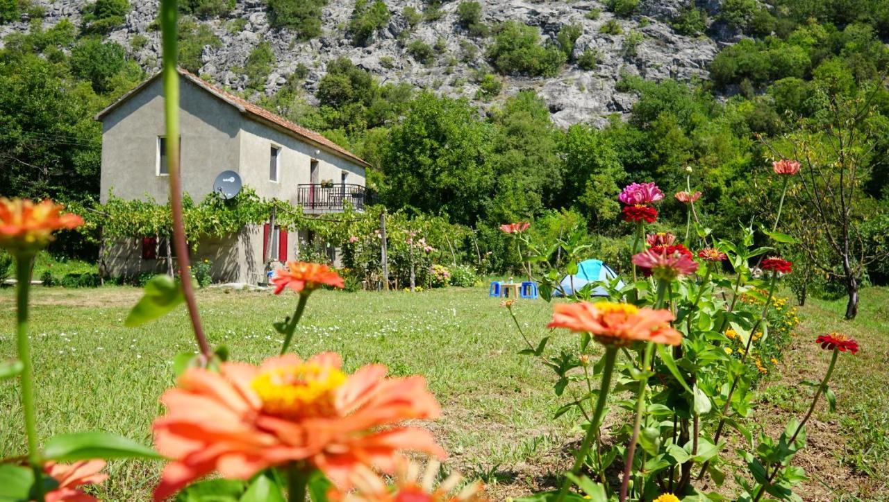 Camp Podkraj Hotel Вирпазар Екстериор снимка