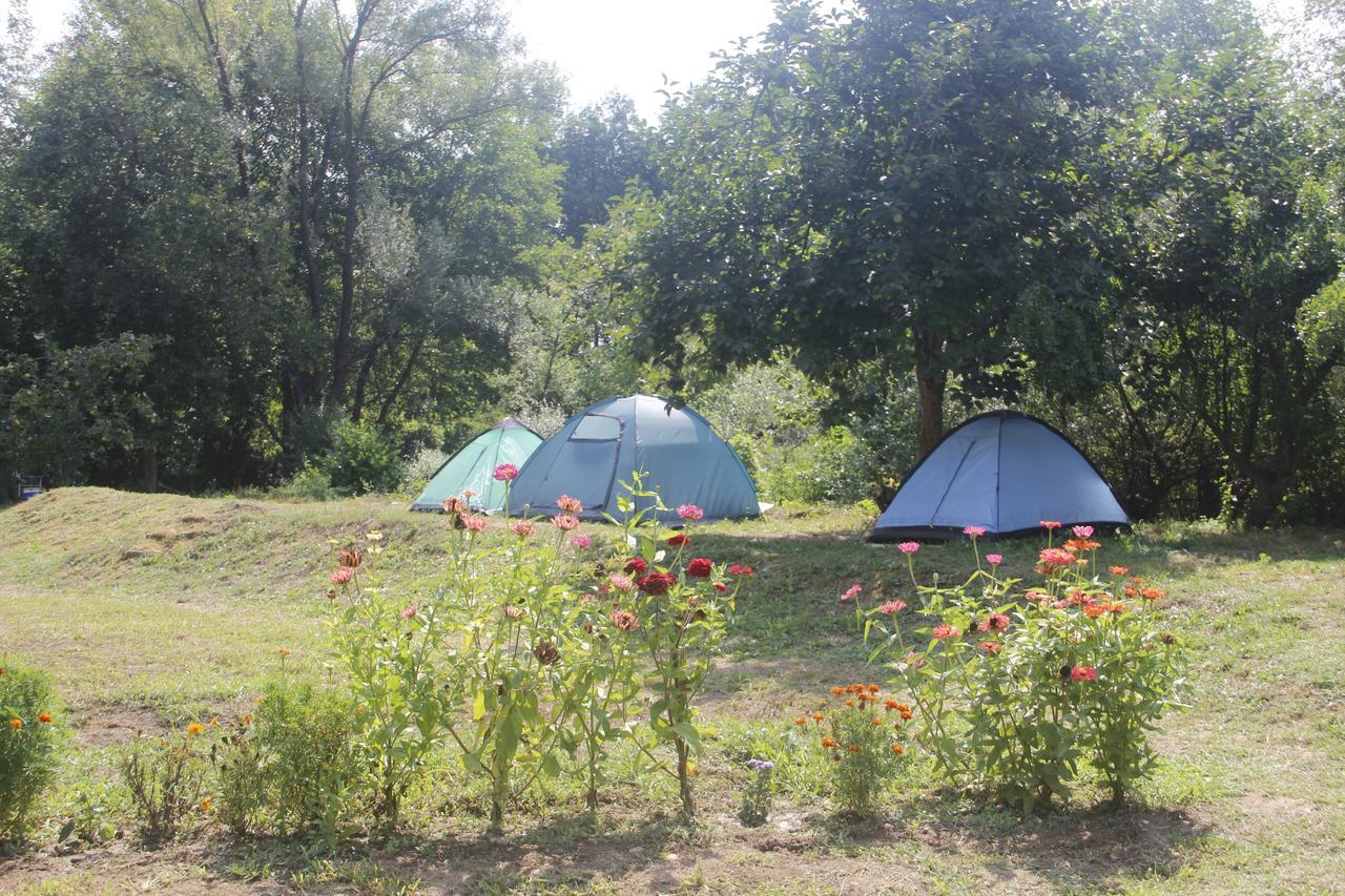Camp Podkraj Hotel Вирпазар Екстериор снимка