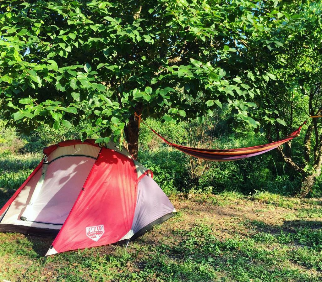 Camp Podkraj Hotel Вирпазар Екстериор снимка